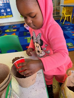 KNCdaycare Planting